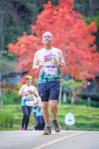 BIB: 8254
                            <button type="button" onclick="openModal(19240761)" class="btn btn-primary btn-sm float-right btn-popup" data-toggle="modal" data-target=".modal-high-quality">
                        <i class="fas fa-shopping-cart"></i> Add to Cart
                    </button>
                                            <button type="button" onclick="isThisMe(19240761, true)" class="btn btn-success btn-sm float-right btn-popup btn-isme hidden" data-toggle="tooltip" data-placement="bottom" title="นี่คือรูปของคุณใช่ไหม คลิกที่นี่เพื่อเอาเข้าอัลบั้ม">
                        <i class="fas fa-plus"></i> Add to album
                    </button>
                    <button type="button" onclick="isThisMe(19240761, false)" class="btn btn-warning btn-sm float-right btn-popup btn-isnotme hidden">
                        <i class="fas fa-ban"></i> Remove from album
                    </button>